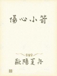 伤心小箭封面