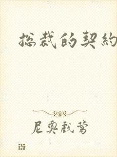 总裁的契约情人