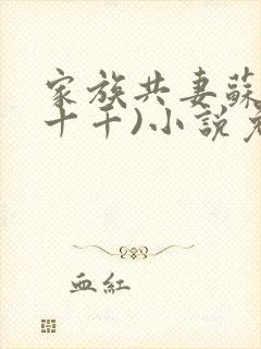 家族共妻苏苏(十千)小说免费