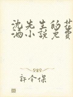 沈先生的花式调酒小说免费阅读封面