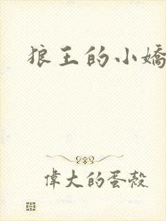 狼王的小娇妻