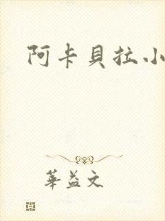 阿卡贝拉小说