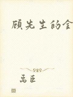 顾先生的金丝雀封面
