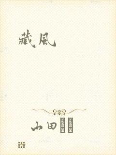 藏风封面