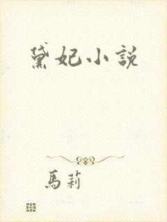 黛妃小说