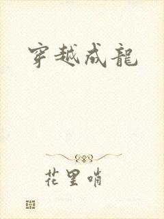 穿越成龙封面
