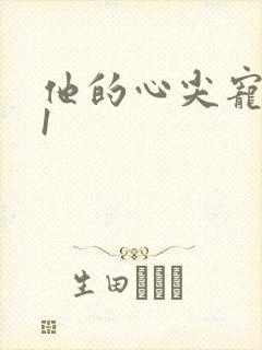 他的心尖宠1v1