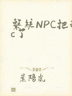 系统NPC把我c了