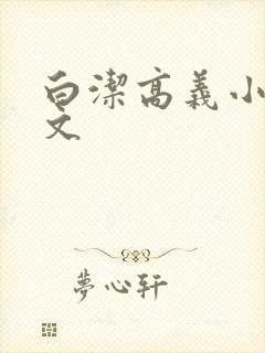 白洁高义小说全文