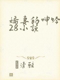 娇妻的呻吟1—28小说