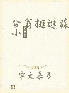 公翁挺进苏玥的小泬