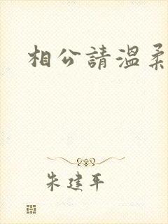相公请温柔一点封面