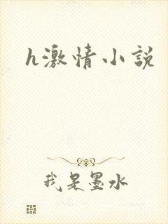 h激情小说