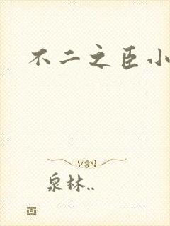 不二之臣小说封面