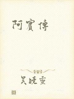阿宾传封面