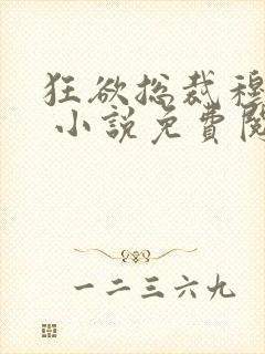 狂欲总裁穆非雪 小说免费阅读封面