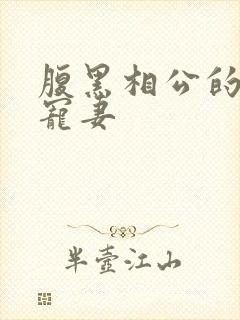 腹黑相公的庶女宠妻
