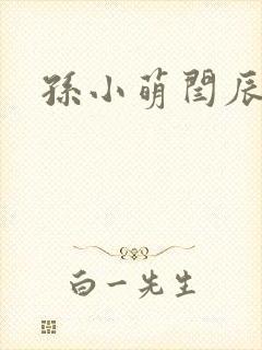 孙小萌闫辰封面