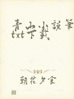青山小说笔趣阁txt下载