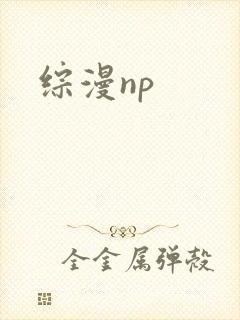 综漫np