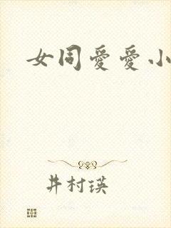 女同爱爱小说封面