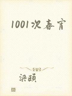 1001次春宵封面
