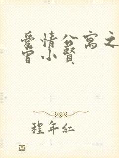 爱情公寓之极品曾小贤