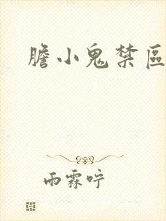 胆小鬼禁区