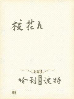 校花h