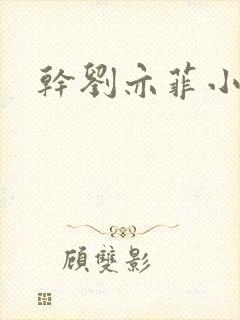 干刘亦菲小说