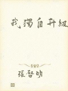 我独自升级2