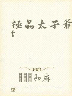 极品太子爷txt