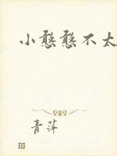 小憨憨不太二封面