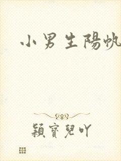 小男生阳帆