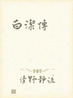 白洁传
