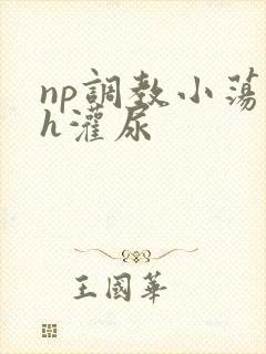 np调教小荡货h灌尿
