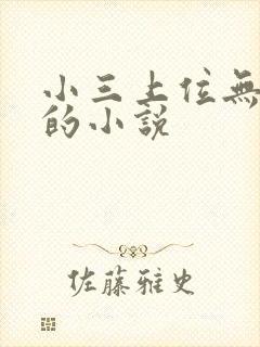 小三上位无三观的小说封面