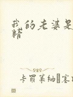 我的老婆是狐狸精