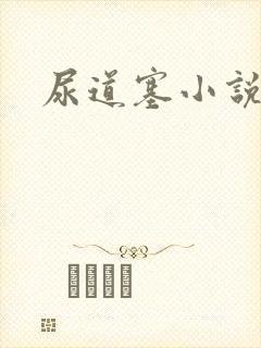 尿道塞小说