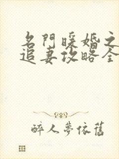 名门暖婚之权爷追妻攻略全文免费阅读