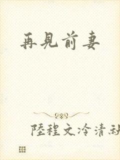再见前妻封面