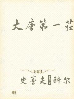大唐第一庄
