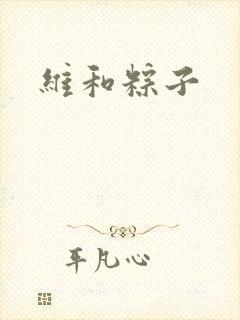 维和粽子封面