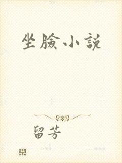 坐脸小说