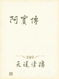 阿宾传