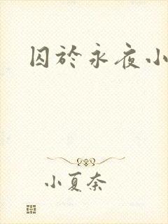 囚于永夜小说封面