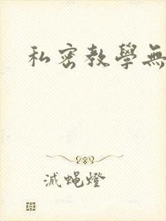 私密教学无删减封面