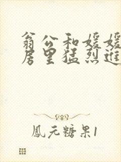 翁公和媛媛在厨房里猛烈进出