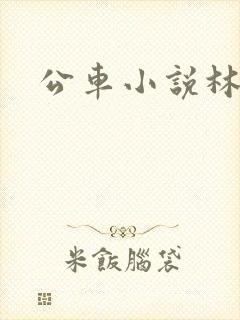 公车小说林蔓蔓