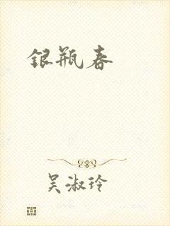 银瓶春封面
